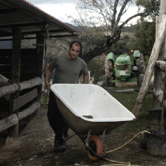 pbr (16393)-Editar.jpg